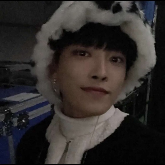 Meet your Posher, Ariel - Picture 1 of 1